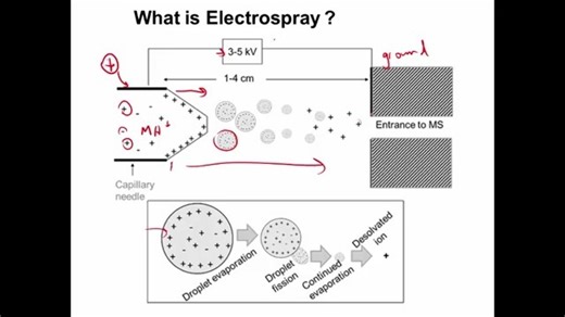 MS Electrospray Ionization (ESI)