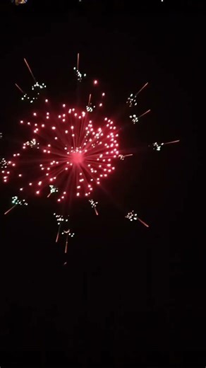 6"inch imported shell