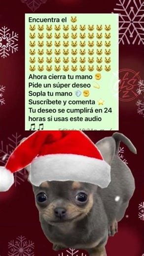 tus deseos se cumpliran 🩷