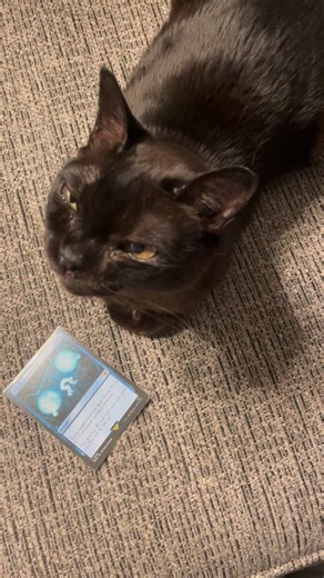 @archidekt_mtg on Instagram: "You don’t get to cast Cyber Conversion for free just because it’s Cyber Monday. #edh #mtgcommander #magicthegathering #commander #mtgcommunity"