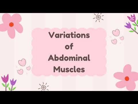 Variation of abdominal muscles anatomy