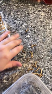 Watch Perfect on Amazon Live