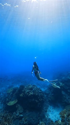Kissed by sunlight, floating in blue🌞 📷 @kazunorinagatani 🧜🏽‍♀️ @__anniebaby Diving gears @ummy_freediving It’s been 7 months and the Saikoo Ichigan Mask is still my favorite. Ultra soft skirt, wide view and looks so good underwater. Special thanks to @kazunorinagatani for taking us to this dreamy spot and capturing this beautiful moment. Do you feel it too?🥰 #freediving #フリーダイビング #프리다이빙 #海が好きな人と繋がりたい #divingtrip | Annie Lee