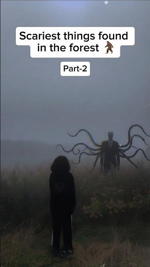 You Won’t Believe What Was Found Deep Inside These Forests… 😳 #shorts #forest #scary