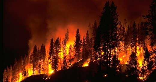 PODCAST: Climate, Nature, & the Insurance Crisis