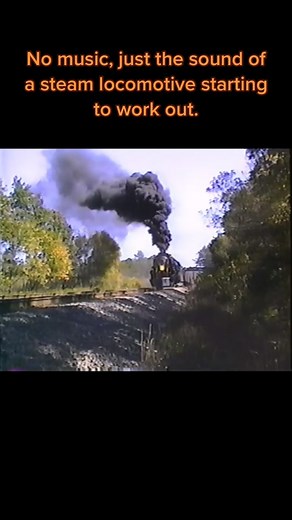 Nothing but pure American steam. #trains #railroad #railway #railfan #steamlocomotive #NW #1218 #hailtotheking