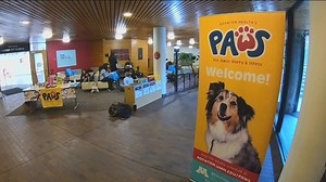 PAWS celebrates 10 years connecting service animals with U of M students