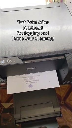 Test Print After Printhead Declogging and Purge Unit Cleaning! 💯