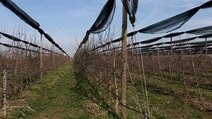 Inkjet Printer - Printing On Fabric- Textile Industry