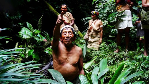 The Amazon’s vast ancient cities revealed by LiDAR