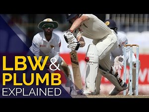 LBW Cricket Laws and 'Plumb' Explained