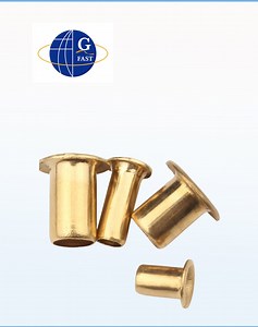 [Hot Item] OEM Aluminum Stainless Steel Flat Head Hollow Tubular Rivet