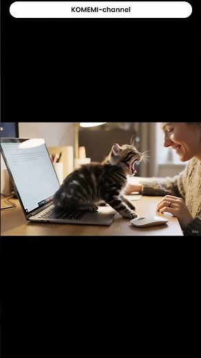 The Ultimate WFH Interruption: Cat Keyboard Crasher/:कैट कीबोर्ड क्रशर/構って💕