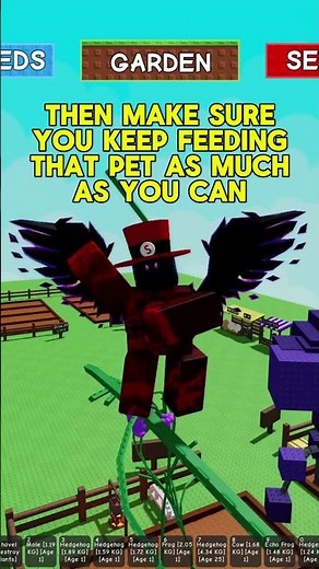 How to get BIG PETS in Grow A Garden Roblox