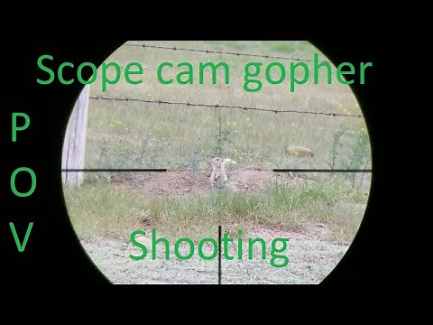 Shooting gophers with a scope cam