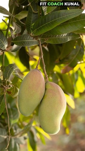 STOP Eating Mango Like This! ⚠️