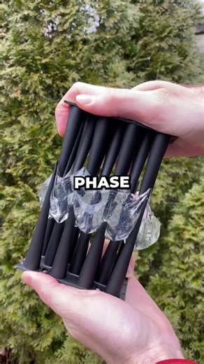 Mind-Blowing Curiosities! 🤯 #curiosity #facts #satisfying | Callum