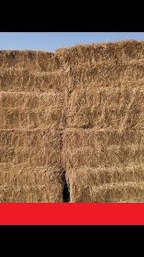 Compressing hay