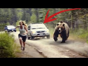 13 Intalniri Cu URSI Pe Care Chiar NU AR Trebui Sa Le Urmaresti