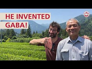 GABA Tea: Visiting the Farmer Who Helped Invent It