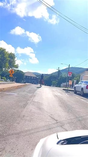 Just another Day on St. Croix 🐎 | Love-Croix