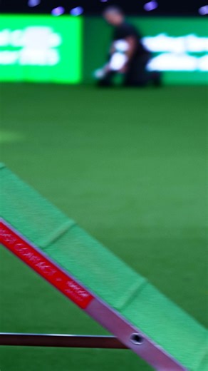 Give yourself something to look forward to. Get Crufts in the diary and start counting down to a brilliant day out. | Crufts