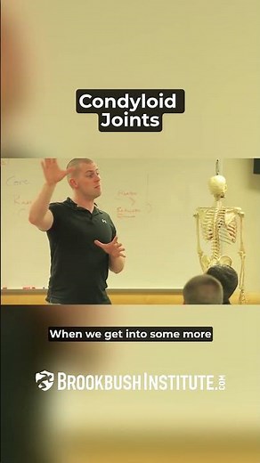 Condyloid Joints