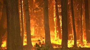 Firefighter battle growing Caldor Fire