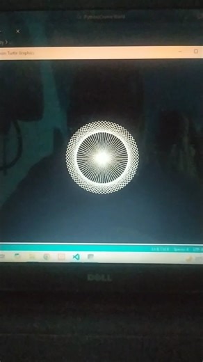 Abhishek Kumar on Instagram: "(8/10) Python Turtle Pattern Drawing 🔥🐢 #shorts #python #turtlegraphics . . Watch this satisfying Python turtle pattern! Easy logic, amazing output 💡 #pythonpatterns #turtle codinglife shorts ytshorts viralshorts trendingnow"