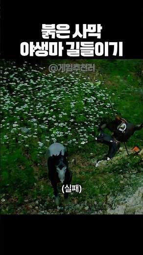 붉은사막 야생마 길들이기