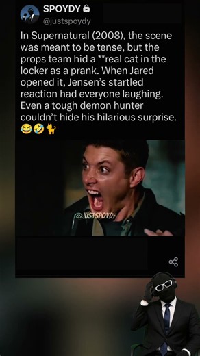 Jensen Ackles Scream Was Caused by a Cat 😂 | Supernatural #funny
