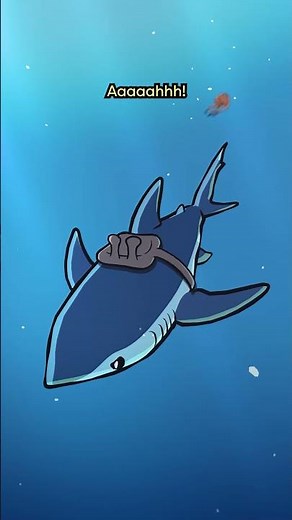 Shortfin Mako Shark 🌡️♨️🦈 #animation #original #cartoon