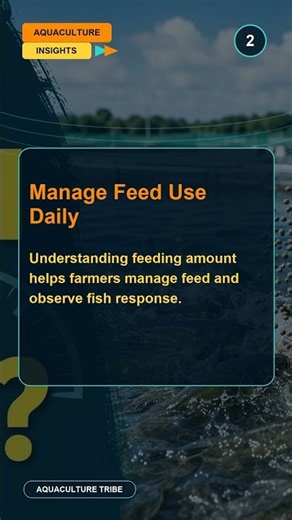 How Much Should You Feed Fish? — 24s Short