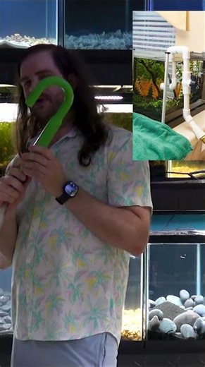 Easiest Way to Fill an Aquarium