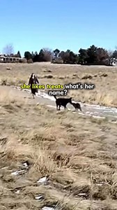 “She’s friendly!” | Wellforth Edog