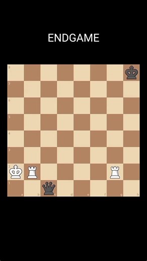 Mastering Chess: 2 Rooks Never Lose Strategy