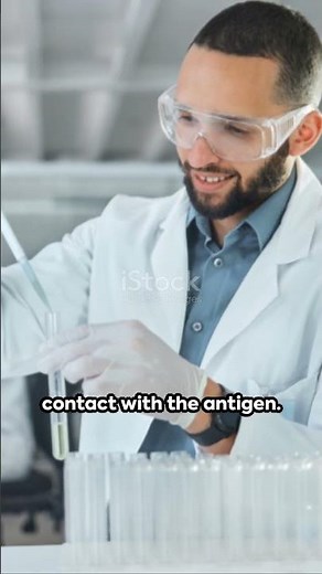 Demystifying Humanized Monoclonal Antibodies