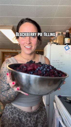 Lauren Ketterman on Instagram: "BLACKBERRY PIE FILLING. Screenshot recipe at the end! This is perfect for any frozen berries you have in the freezer. Enjoy! 🥧 #urbanhomestead #selfsufficient #canningandpreserving #homestead #baking"