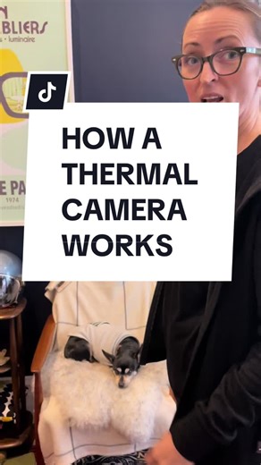 How a Thermal Camera Works | Discover the Magic of Thermal Imaging