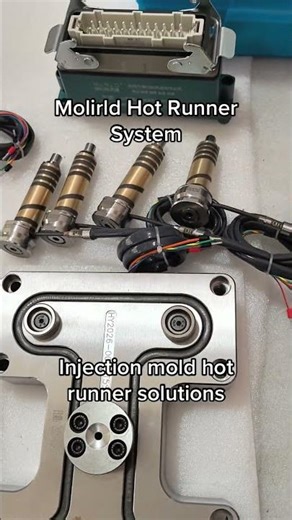 Molirld Hot Runner System #hotrunner