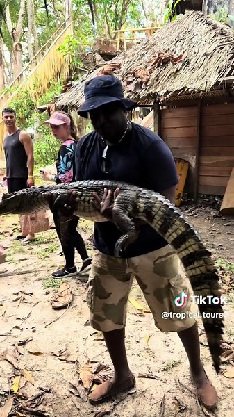 Tropical Tours on TikTok