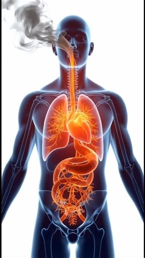 What Happens When You Stop Smoking? #exercise #fitness #usa