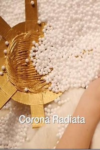 Corona Radiata - Movie