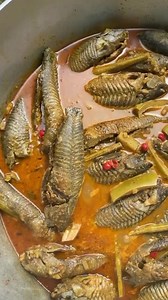 When last you had hassa curry? 📽 Priya - Livelaughlovefood #VisitGuyana | Visit Guyana