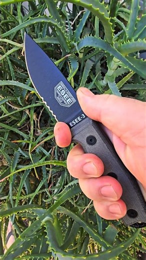 Serrated ESEE 3 #edc #fixedblade