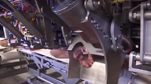 Behind the Scenes of Meat Processing Watch How Pork and Beef Are Cut with Speed and Accuracy