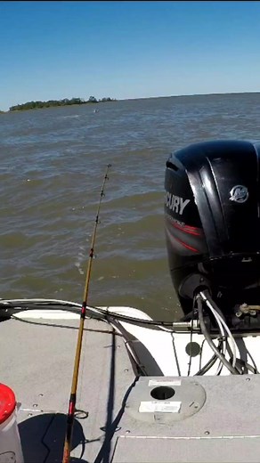 We Caught a HUGE Jumping Fish! #reels #fishing #shark | Beaufort SC Fishing