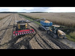 Parcelle de 500 ha !! Récolte de maïs grain XXL | New Holland CR9.90 | Challenger 865E