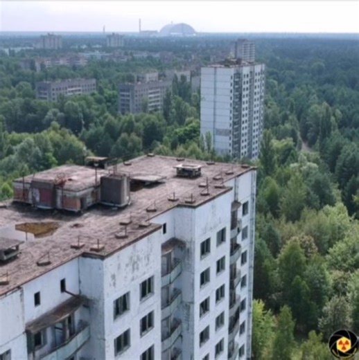 3.9K views · 179 reactions | Chornobyl exclusion zone #private_chernobyl_guide #ukraine #chernobyl #chernobylexclusionzone #chernobylnuclearpowerplant #pripyat #ghosttown #duga #abandoned #abandonedworld #abandonedplaces #lostplaces #forgottenworld #abandoned_addiction #abandonedbeauty #urbex #urbexphotography #exploration #photography #darktourism #radiation #history #disastersite #lifeafterpeople | Private Chernobyl Guide | Facebook