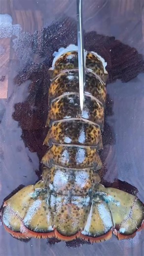 Steak & lobster mac and cheese #asmr #food #asmrfood #cooking #foodie #macandcheese